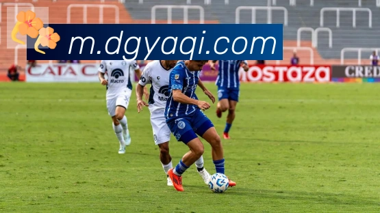 开云kaiyun官网荣誉